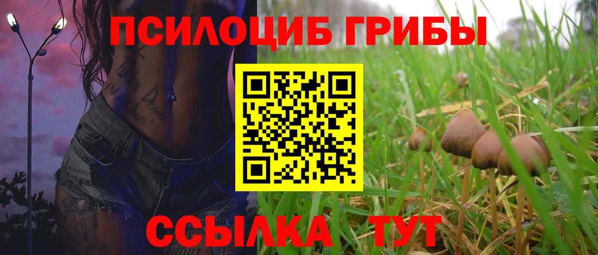 Галлюциногенные грибы мицелий Курск
